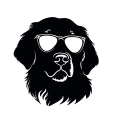 Fototapeta premium Golden retriever dog