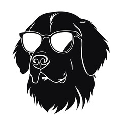 Golden retriever dog 