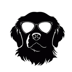 Golden retriever dog 