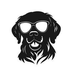 Golden retriever dog 