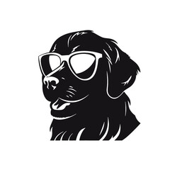 Golden retriever dog 