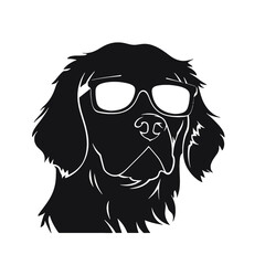 Golden retriever dog 