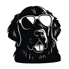 Golden retriever dog 