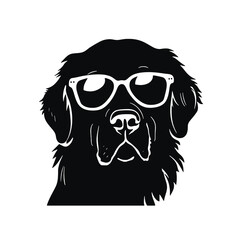 Golden retriever eyeglasses