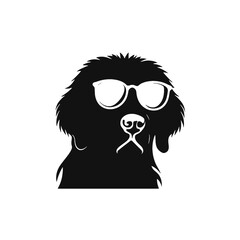 Golden retriever eyeglasses