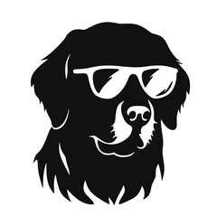 Golden retriever eyeglasses