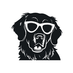Fototapeta premium Golden retriever eyeglasses