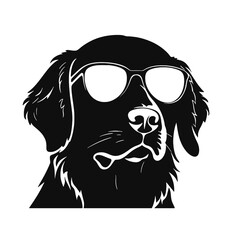 Golden retriever eyeglasses