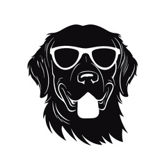 Golden retriever eyeglasses