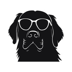 Golden retriever eyeglasses