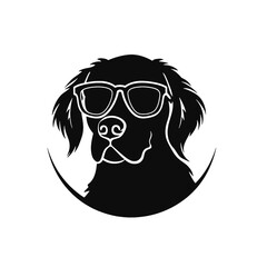 Golden retriever eyeglasses