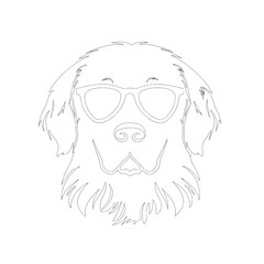 Golden Retriever with sunglasses