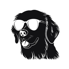 Golden Retriever with sunglasses