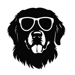 Golden Retriever with sunglasses