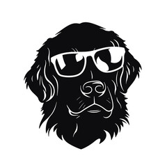 Golden Retriever with sunglasses