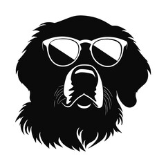 Golden Retriever with sunglasses