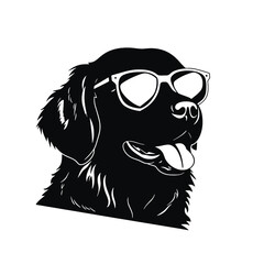 Golden Retriever with sunglasses