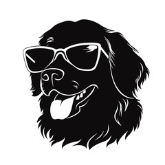 Golden Retriever with sunglasses