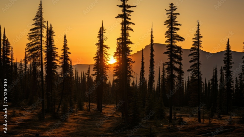 Poster scenic view of setting sun behind trees, perfect for nature backgrounds