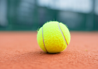 close up Tennis Ball