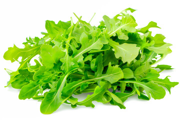 Arugula lettuce isolated on white background. Fresh green salad leaves from garden - obrazy, fototapety, plakaty