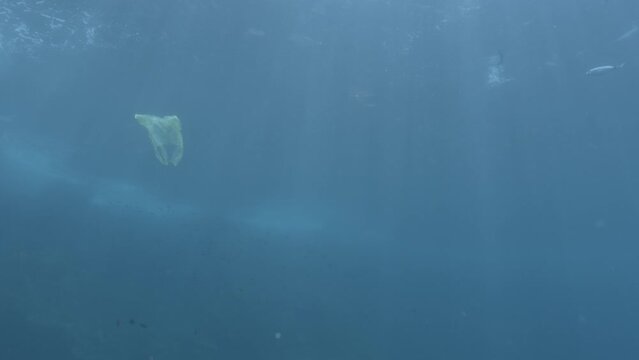  : A lone white plastic bag floats in the ocean, illuminated by sunbeams, underscoring the solitude of pollution amidst the beauty of the marine world.
