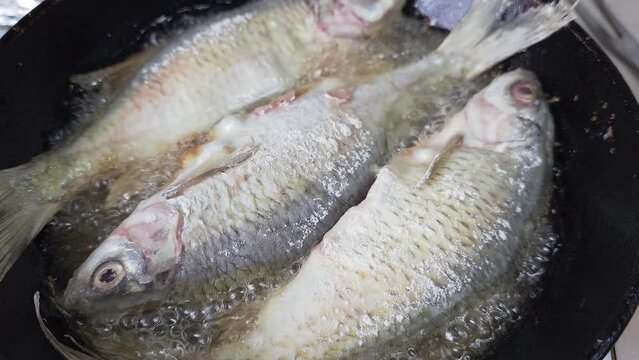 whole vobla fish frying in a cast iron skillet with oil at domestic kitchen.