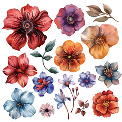 A collection of different types of flowers. watercolor