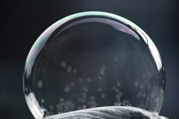 Winter collage. A transparent soap bubble freezing in the cold on a dark background. Tom 20