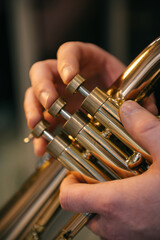 Trąbka, trumpet. © Mikoaj