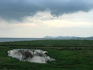 A meadow with a small pond surrounded by mountains under the sky that has clouds, A landscape, dry branch in the pond