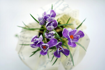 Bouquet of purple flowers crocuses on white background. View from the top