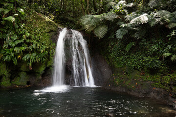 Pure nature, a waterfall with a pool in the forest. The Ecrevisses waterfalls,
Cascade aux...