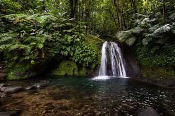 Fototapeta na wymiar Pure nature, a waterfall with a pool in the forest. The Ecrevisses waterfalls, Cascade aux écrevisses on Guadeloupe, in the Caribbean. French Antilles, France