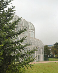 Obraz premium tree in the garden