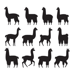 Graceful Grazers: Vector Alpaca Silhouette - Capturing the Elegance and Charm of Nature's Woolly Wanderer. Minimalist alpaca illustration.