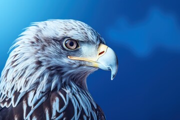 Sea eagle, blue sky background, nature wildlife, USA, majestic eagle bird head, eagle profile, feathers, american bald eagle, symbol, freedom, generative AI, JPG