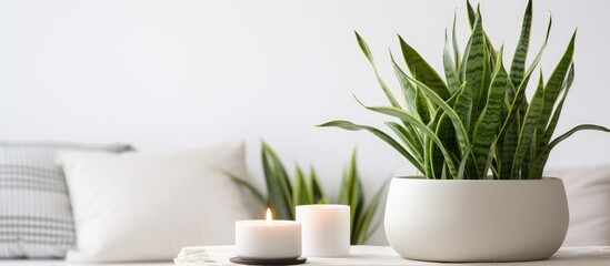 A minimalistic white table is adorned with two lit candles and a potted plant, set against a clean white wall in a Scandinavian interior. The scene exudes simplicity and elegance.