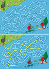 Ladybugs water skiing and windsurfing maze for kids with a solution