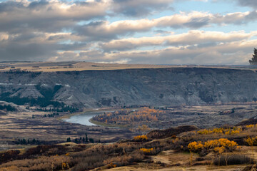 Fototapeta premium Dry Island Buffalo Jump Provincial Park, Alberta, Canada