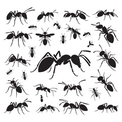 Tiny Titans: Vector Ant Silhouette - Capturing the Industriousness and Strength of Nature's Minuscule Worker. Minimalist ant illustration