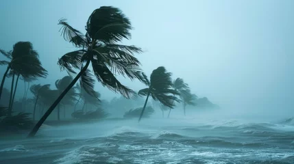 Fotobehang Extreme weather conditions. Very strong wind blows palm trees on island. Tropical storm. Bad weather concept. Flood on the beach. Flooding due to heavy rain. Dangerous thunderstorm. © Ellionn