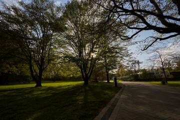 Kurpark in Bad Sassendorf, Sommer 2023 