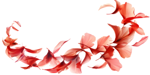 petals swirl, capturing swirling movements on a white background.