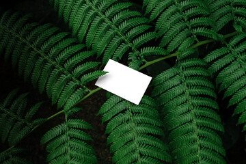 Business card branding mockup template, real photo, set amidst the lush backdrop of tropical nature...