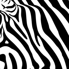 zebra, zebra skin, pattern, skin, animal, zebra pattern, zebra stripes, stripes, africa, animal pattern, zebras, abstract, animal skin, zebra patterns, zebra animal pattern, african animal, black, afr