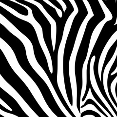 Fototapeta na wymiar zebra, zebra skin, pattern, skin, animal, zebra pattern, zebra stripes, stripes, africa, animal pattern, zebras, abstract, animal skin, zebra patterns, zebra animal pattern, african animal, black, afr