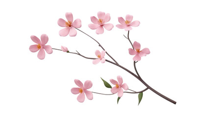 branch of blossom isolated on transparent background cutout