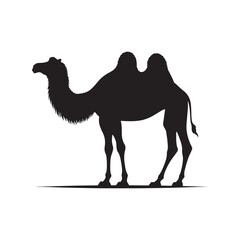Sahara Serenity: Vector Camel Silhouette Set Against the Vast Desert Landscape, Perfect for Desert-themed Designs and Graphics. Minimalist vector Camel.