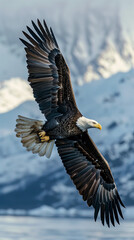 Obraz premium a bald eagle flying low over water with snowy mountains in the background, setting photographic. 8k. AI Generated